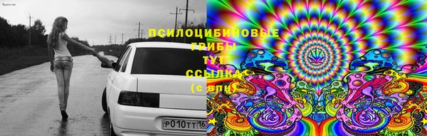 каннабис Пестово